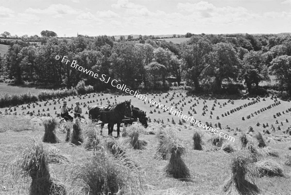 HARVEST SCENES